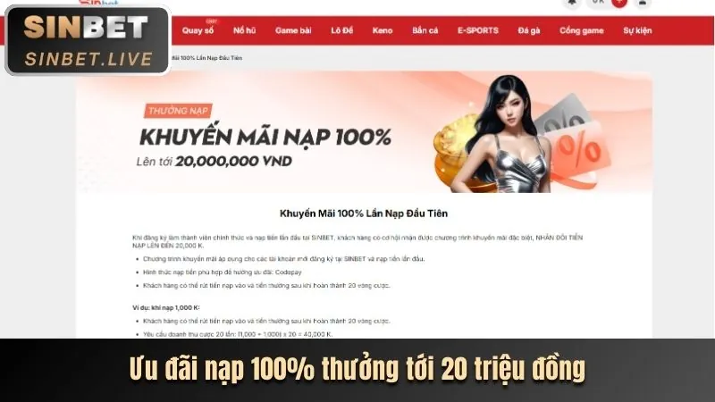 Ưu đãi VIP đặc quyền